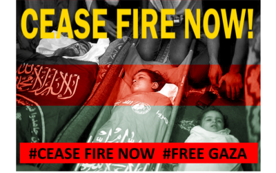 Impact of Israeli Genocidal War in Gaza on the Middle East